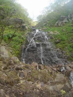 DSC05446.jpg