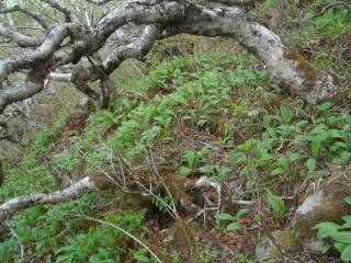 DSC05471.jpg