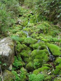 DSC05473.jpg