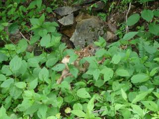 DSC05764.jpg