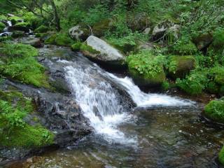 DSC05766.jpg
