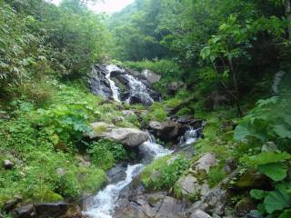 DSC05772.jpg