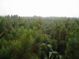 DSC05790.jpg