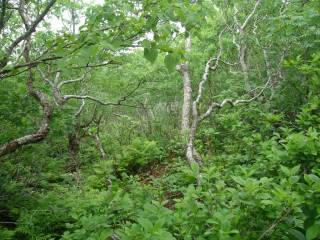 DSC05794.jpg