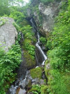 DSC05800.jpg