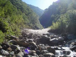 DSC05851.jpg