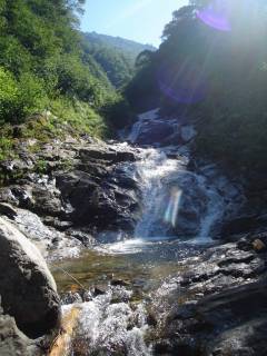 DSC05854.jpg