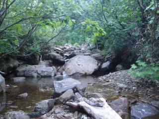 DSC05983.jpg