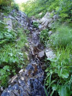 DSC06103.jpg