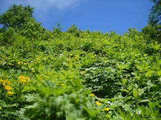 DSC06114.jpg