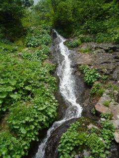 DSC06138.jpg