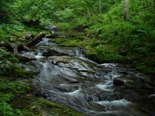 DSC06396.jpg
