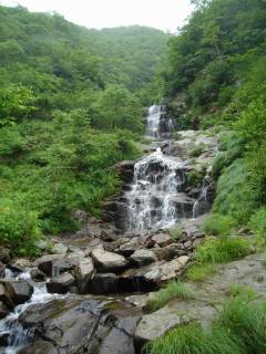 DSC06404.jpg