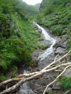 DSC06407.jpg