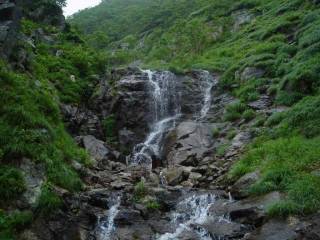 DSC06409.jpg