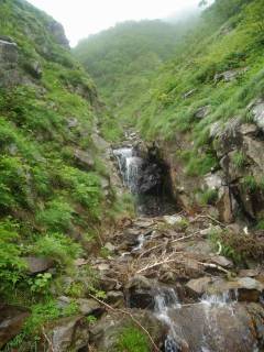 DSC06410.jpg
