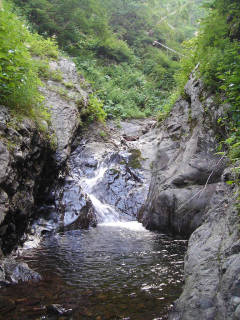 DSC06434.jpg
