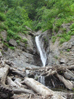 DSC06437.jpg