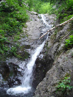 DSC06442.jpg
