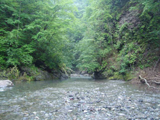 DSC06510.jpg