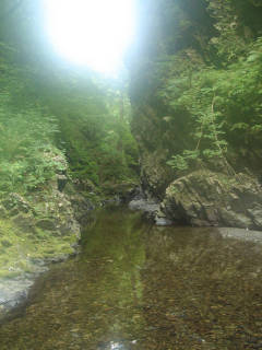 DSC06583.jpg