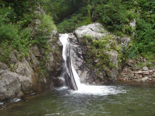 DSC06745.jpg