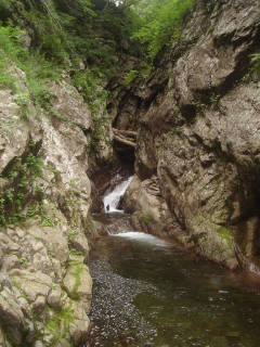 DSC06749.jpg