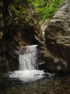 DSC06751.jpg