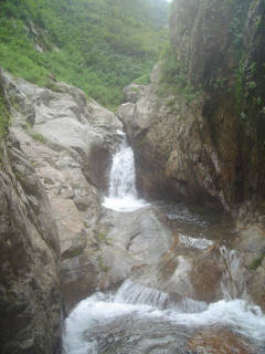 DSC06753.jpg