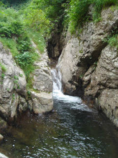 DSC06754.jpg