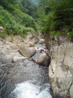 DSC06756.jpg