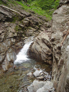 DSC06761.jpg