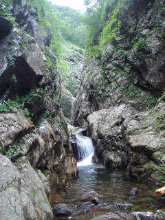 DSC06763.jpg