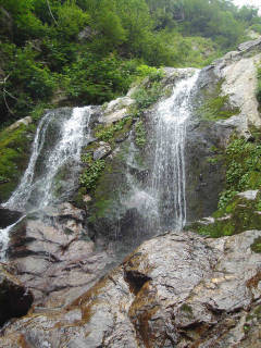 DSC06787.jpg