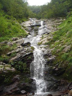 DSC06789.jpg