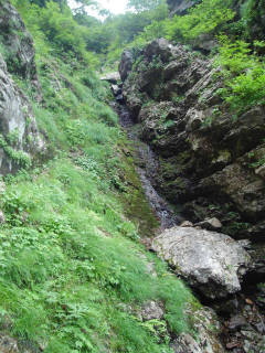DSC06801.jpg
