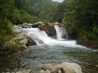 DSC06925.jpg