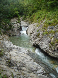 DSC07002.jpg