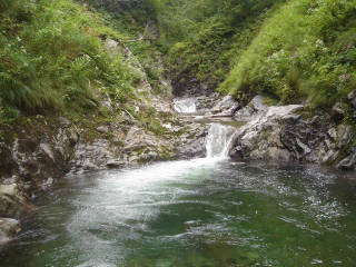 DSC07013.jpg