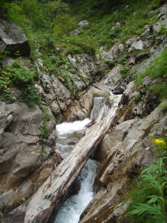 DSC07020.jpg