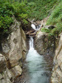 DSC07023.jpg