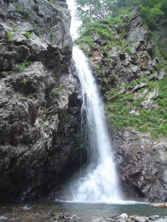 DSC07027.jpg