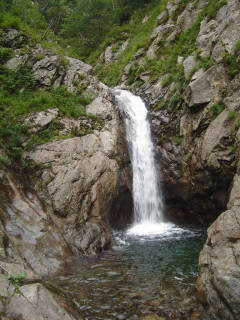DSC07033.jpg