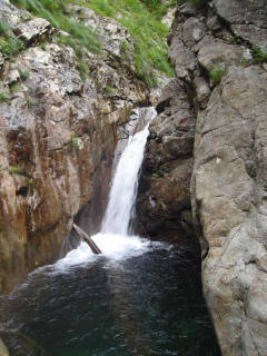 DSC07035.jpg