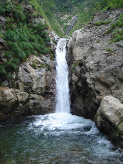 DSC07038.jpg