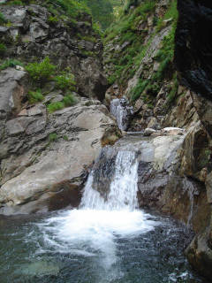DSC07040.jpg