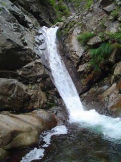DSC07041.jpg