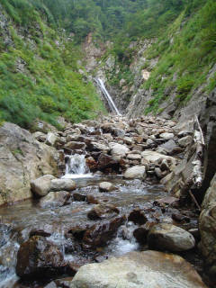 DSC07045.jpg