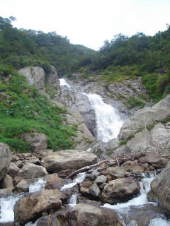 DSC07247.jpg