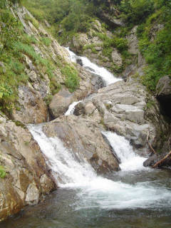 DSC07248.jpg